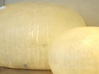 LAMPADA SASSO