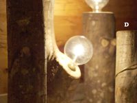 LUCE TRONCO